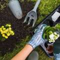 Gardening Services In London &ndash; Reliable Garden Care