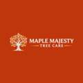 Professional Tree Service Buffalo NY For Local Properties