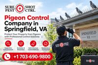 U.S. Virgin Islands, Pest Control, Springfield, VA Pigeon Control Information For Property Owners