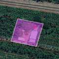 THB 10000000,  6 BR,  1004 Sq. Feet,  ขายด่วน! ที่ดินพร้อมสิ่งปลูกสร้า