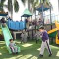 Montessori Playway School In Panchkula