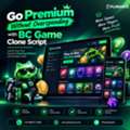 Premium Gaming, Budget-Friendly BC Game Clone Script