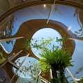 THB 250000,  100 Sq. Feet,  ให้เช่า Terrarium House บ้านสถาปัตยกรรม 2 ชั้น ย่า