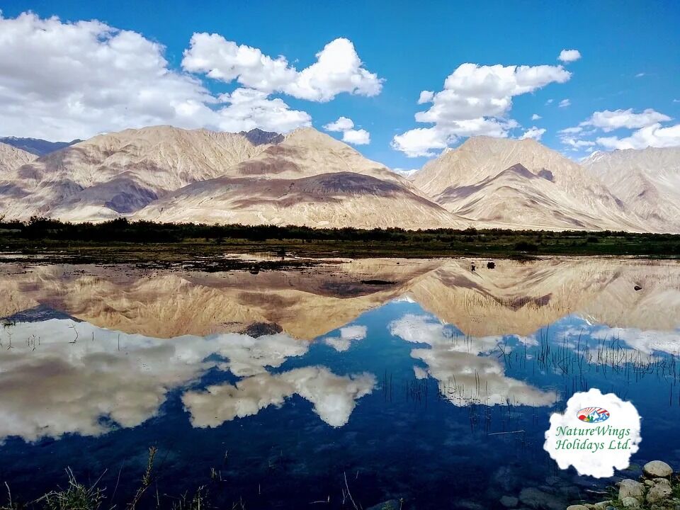 Kolkata, Travel, Leh Ladakh Tour Packages &ndash; Explore The Land Of High Passes