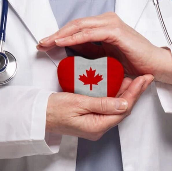 Toronto, Business, Disinfecting Wipes Canada | Health Canada DIN Approved Since 2010