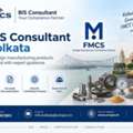 How Can I Choose The Right FMCS Consultant In Kolkata?