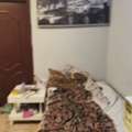 SAR 2200/month,  Furnished,  Furnish Family Room With Wifi And Water