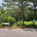 THB 1000000,  6 BR,  10 Sq. Feet,  Vacant Land, Soi Samphan Khlong 8, Area 100 Sq.w. Rangsit-Nakhon Nayok Road, Thanyaburi