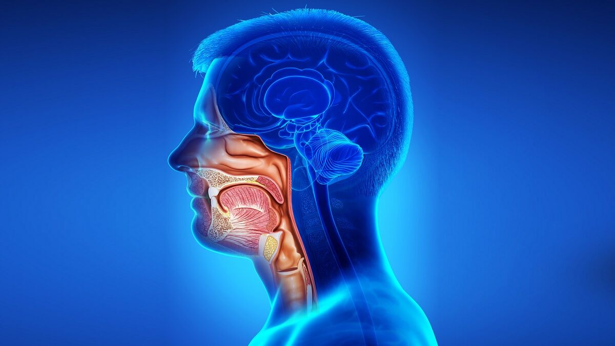 Ghaziabad, Health, Specialized Head & Neck Cancer Treatment In Noida By Expert