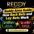 Reddy Anna Guide: How Back Bets And Lay Bets Work