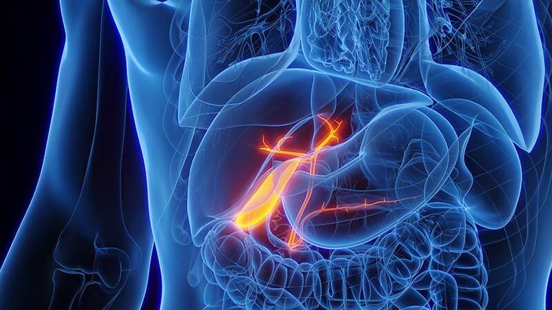 Ghaziabad, Health, Modern GI Cancer Treatment In Noida With Expert Care
