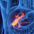 Modern GI Cancer Treatment In Noida With Expert Care