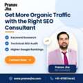 Get More Organic Traffic With The Right SEO Consultant