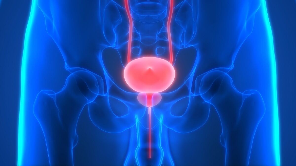 Ghaziabad, Health, Hope & Healing Through Prostate Cancer Treatment In Noida