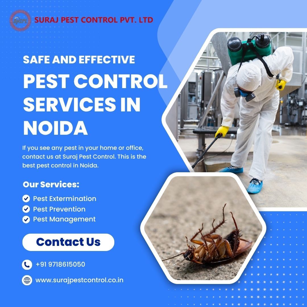 Noida, Pest Control, Top Pest Control Services In Noida For Home & Office