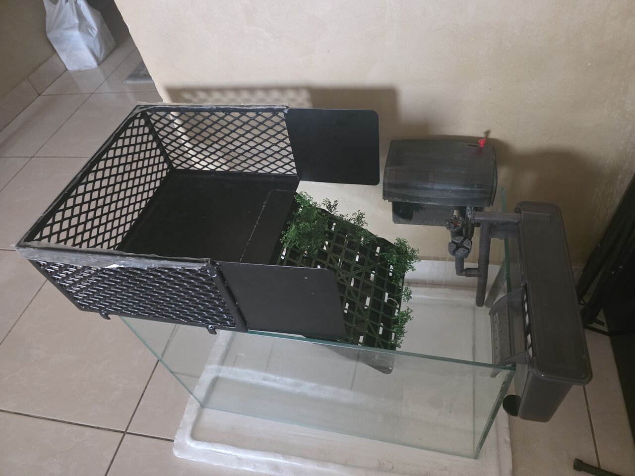 Hidd, Pet Supplies, BHD 100,  4 Big Size Red Ears Sliders For Sale -Hidd Area