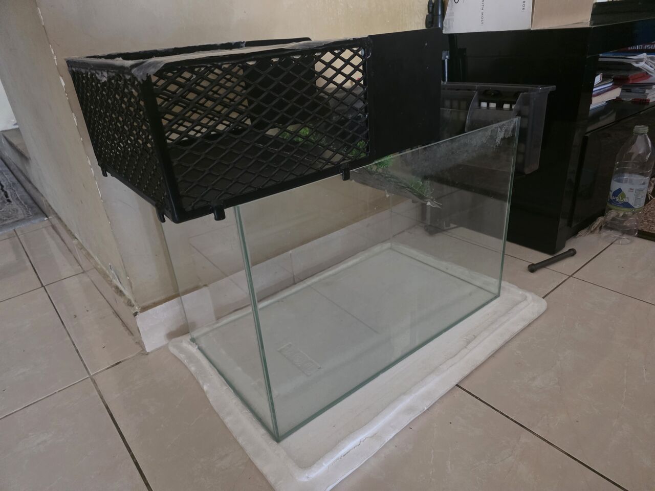 Hidd, Pet Supplies, BHD 100,  4 Big Size Red Ears Sliders For Sale -Hidd Area