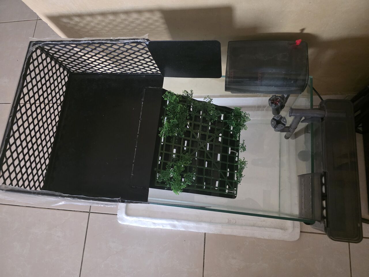 Hidd, Pet Supplies, BHD 100,  4 Big Size Red Ears Sliders For Sale -Hidd Area