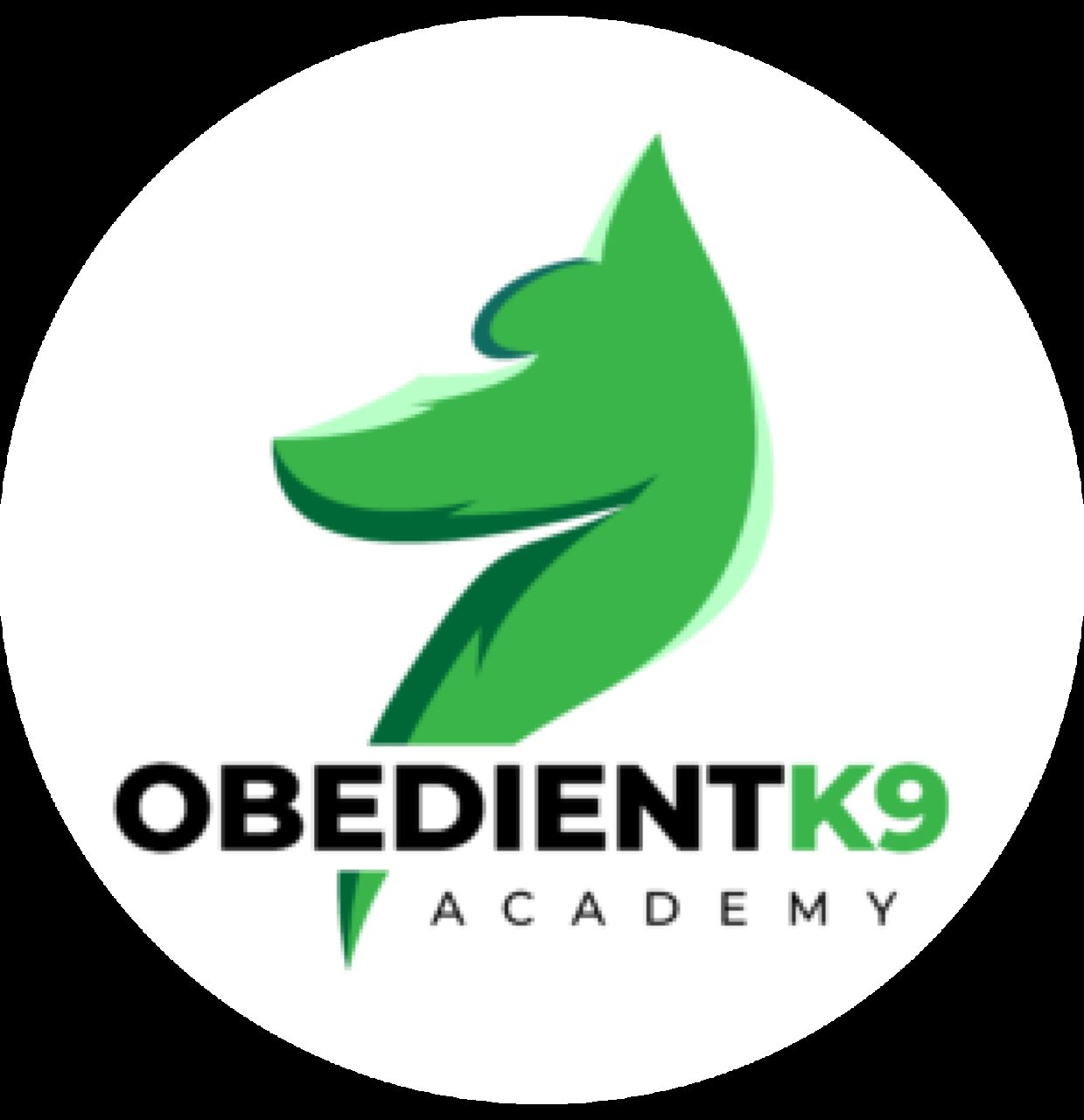 New York, Pet Sitting, Obedient K9 Academy