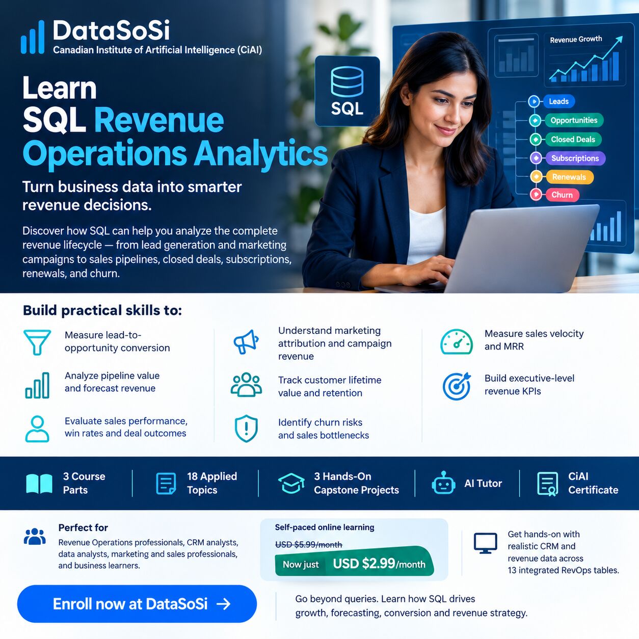 Toronto, Lessons Offered, Learn SQL Revenue Operations From Best Tutors Online At Just USD $2.99