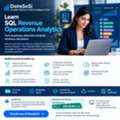 Learn SQL Revenue Operations From Best Tutors Online At Just USD $2.99