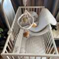 SAR 200,  White Baby Cot + Mobile + Bumper + Rug - Murjan Village