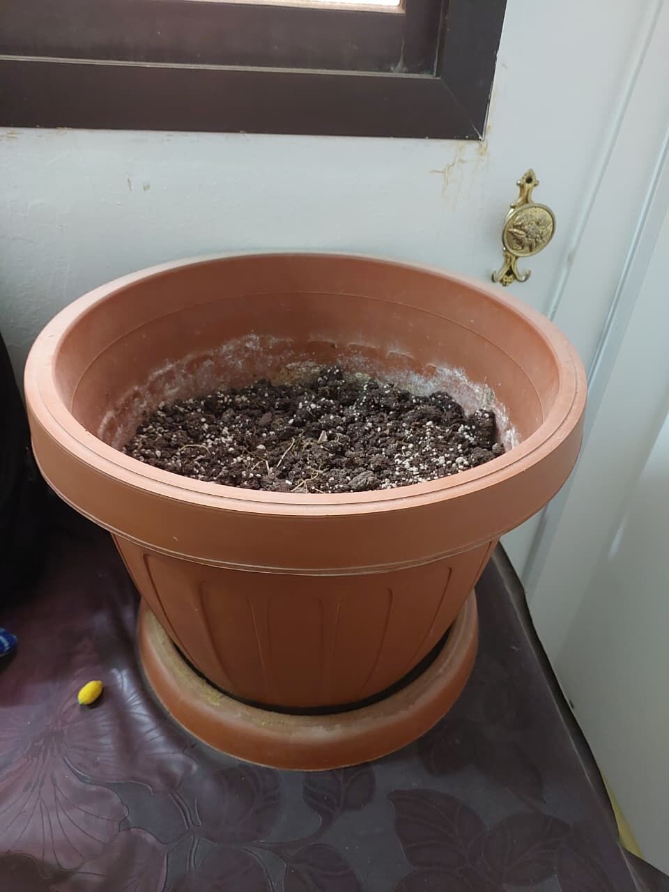 Hara, Household Items, SAR 150,  Kids Bicycle - Plant Pots For Sale
