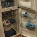 SAR 200,  Fridge