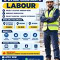 Labour   👷
