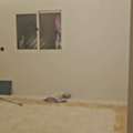 SAR 1500/month,  Single Big Room With Separate Bathroom For Rent