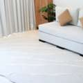 Find Premium Hand Tufted Rugs For Sale USA