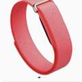SAR 500,  Google Fitbit Air Fitness Band