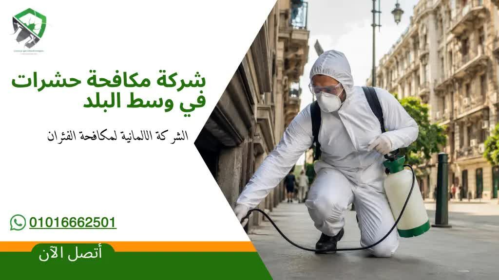Nasr City, Pest Control, شركة مكافحة حشرات في وسط البلد: دليلك الكام