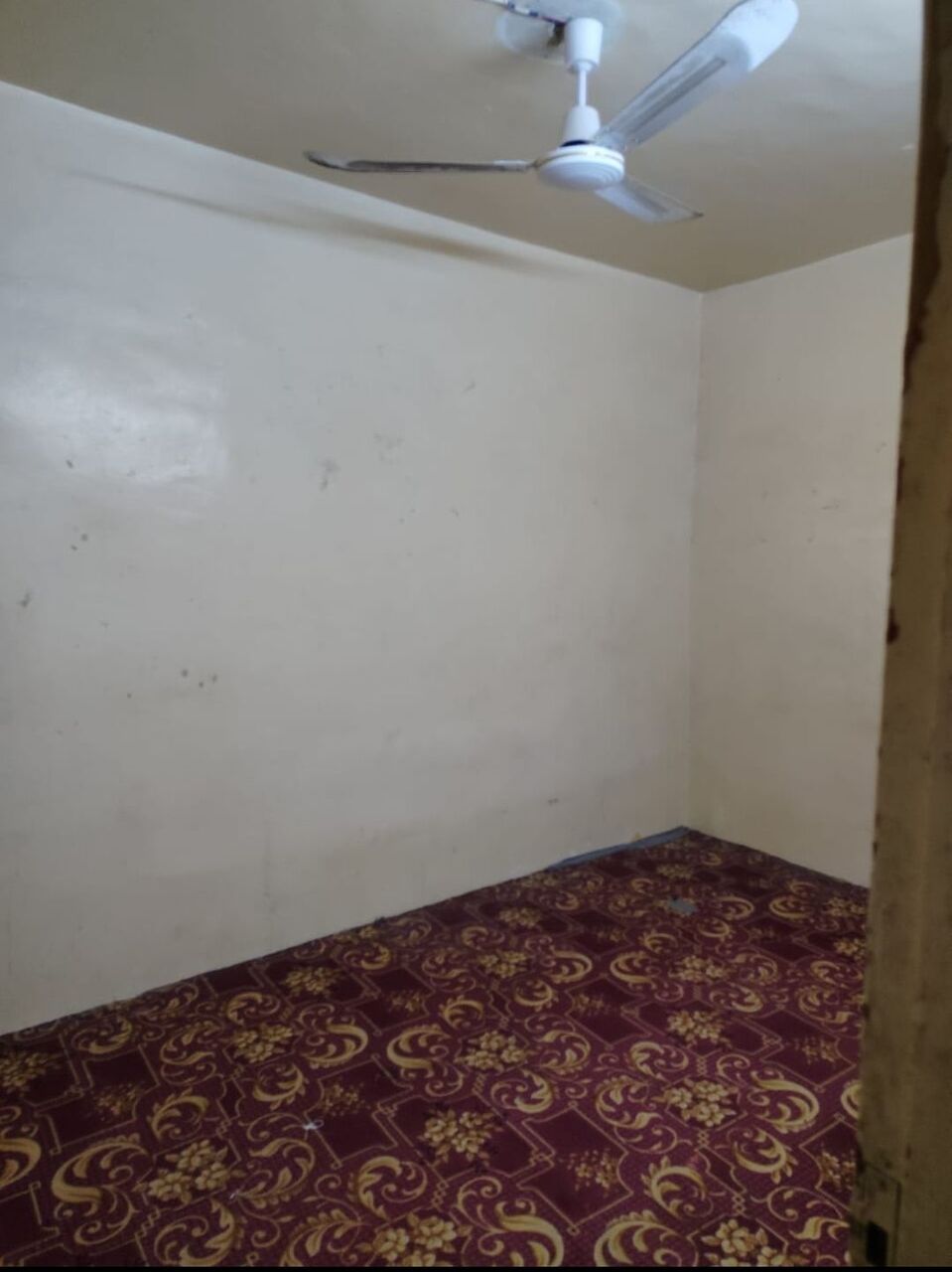 Hara, Apartments, Flats, Houses & Villas, SAR 600/month,  1 BR,  SAR 600/month, 3 BR, 1 Room Available In 3BHK Flat. 3600 SAR For 6 Months. Maximum 2 Perso