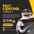 Pest Control Aintree For Reliable Pest Management | Pest Control Works