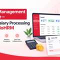 Payroll Management Software &ndash; Simplify Salary Processing With IntelloHRM