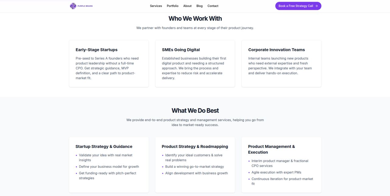 Beirut, Business, Purple Brains: Fractional CPO And Product Management For Startups