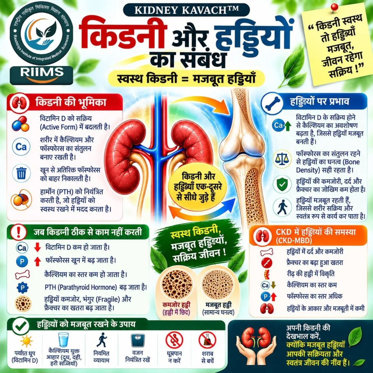 New Delhi, Dental, Kidney Stone Treatment In Delhi NCR