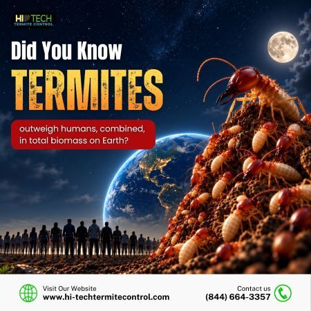 New York, Pest Control, Did You Know Termites Outweigh Humans?