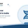 Knee Replacement Recovery Timeline: From Surgery To Normal Activities