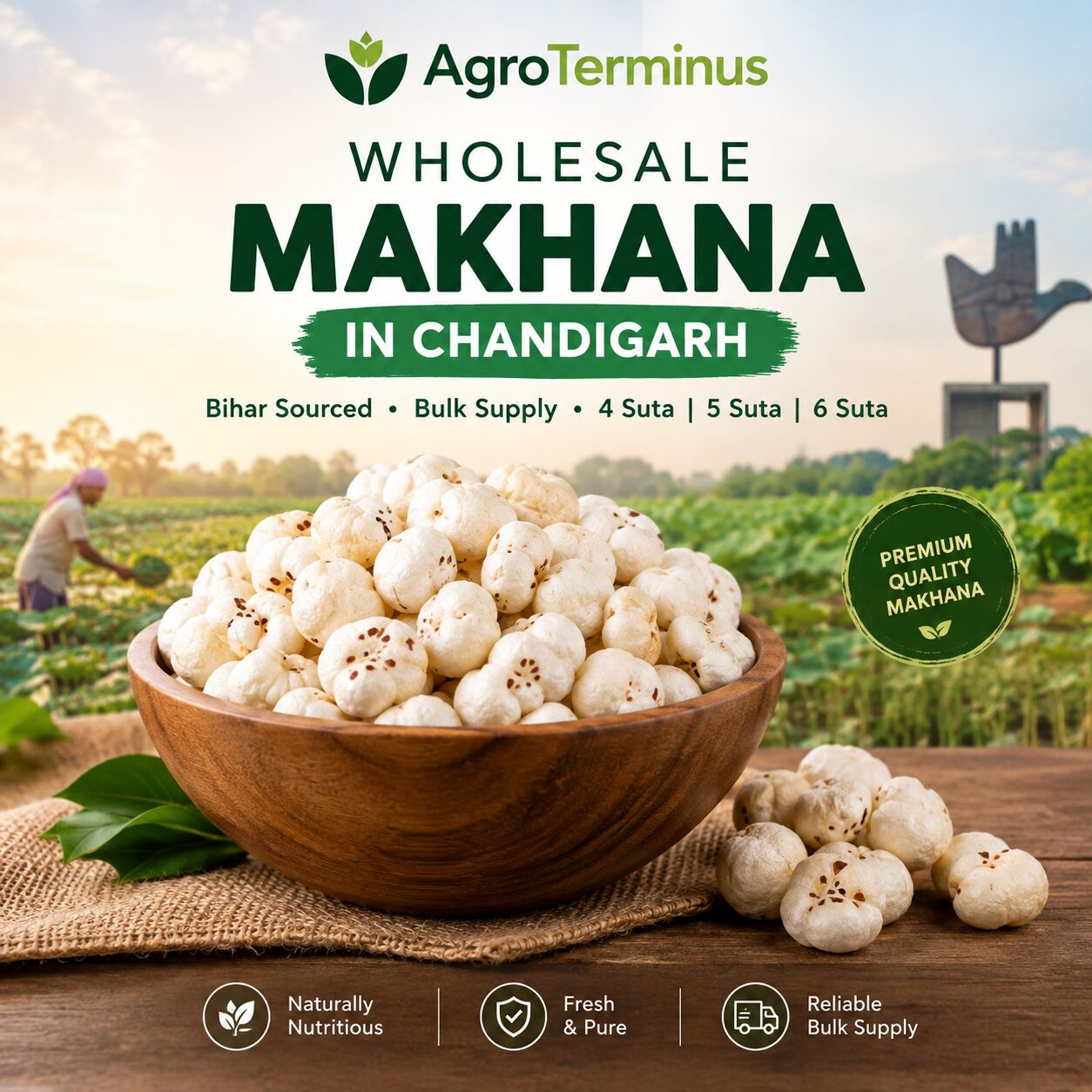 Dwarka, Wholesale Products, Quality Bihar Makhana For Wholesale Buyers In Chandigarh