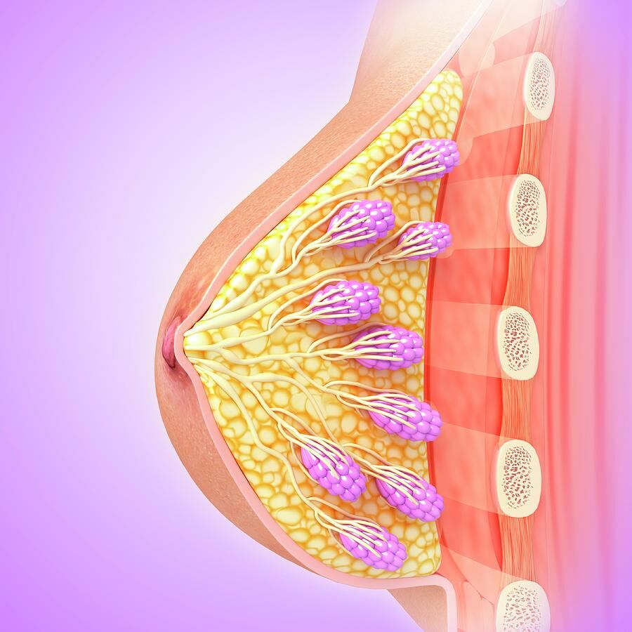 Ghaziabad, Health, Compassionate Breast Cancer Treatment In Noida | Expert Care