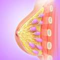 Compassionate Breast Cancer Treatment In Noida | Expert Care