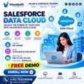 Salesforce Data Cloud Training Ameerpet | Corporate Training