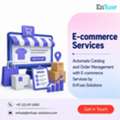 Automate Catalog And Order Management With E-commerce Services By EnFuse Solutions