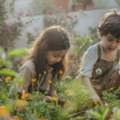 Outdoor Learning With Nature Preschools In Portland