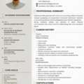 Sales Merchandiser  Jobs