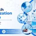 Contract Research Organization & CRO Services In Delhi NCR | Frontro Pharma