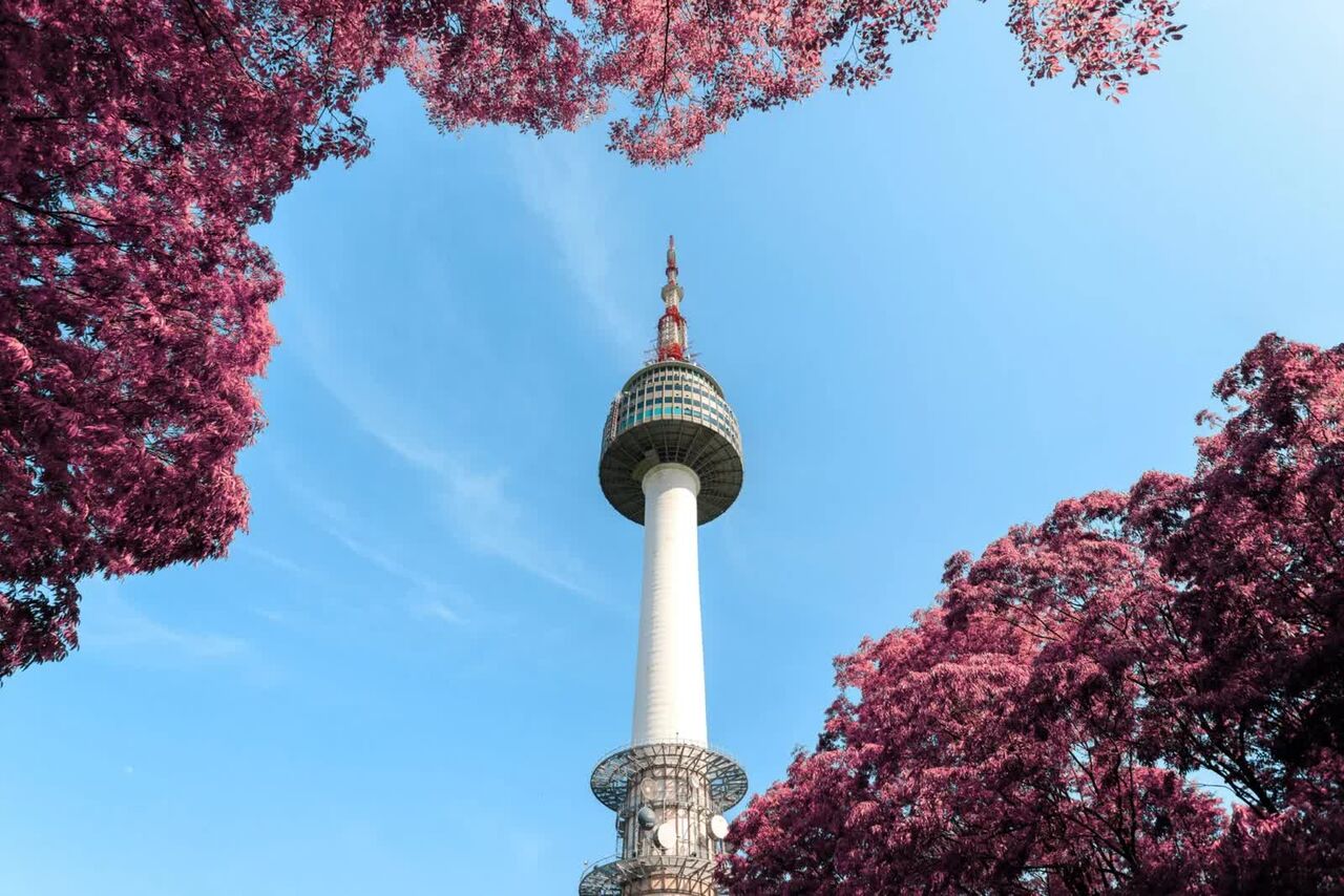 Brisbane, Education, Learn More About Teaching English In South Korea