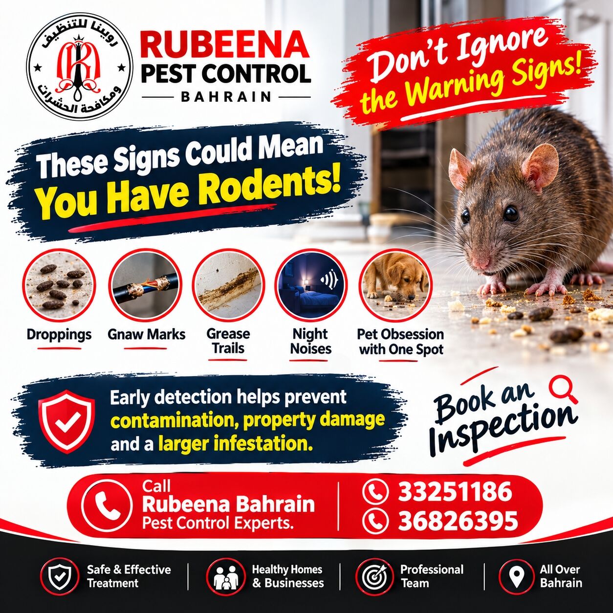 Manama, Pest Control, Pest Control Services Special Offer Call Now